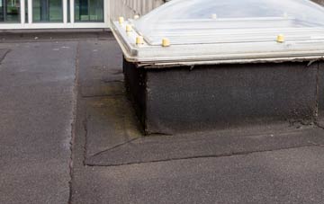 disadvantages of Yeo Mill flat roofs
